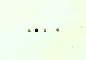 Quartz 6mm Terp PEARLS set of 2