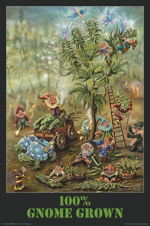 GNOME GROWN Gnome Posters, colorful 24x36 inch illustration of gnomes in a vibrant garden scene.