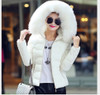 Autumn and Winter Jacket Women Coat Parka Fur Collar Large Size Women Down Cotton-padded Jacket Coat Candy Colors Outwear
