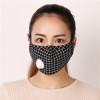 5pcs/Pack With Respiratory Valve PM2.5 Cotton Thick Dust And Haze Protection Mask Men And Women Winter Mask Mouth Mask