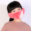 5pcs/Pack winter face mask