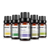 essential oils for aromatherapy diffusers	lavender tea tree lemongrass tea tree rosemary Orange oil 