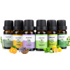 Essential Oils Aromatherapy Oil for aroma Diffuser Humidifier 6 Kinds Fragrance of Lavender Tea Tree Rosemary Lemongrass Orange