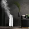 Mist Humidifier 4L Air Purifying for Air-conditioned rooms Office household With Filter