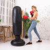 Inflatable Boxing Cylinder Punching