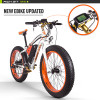 New RT-012 Plus Powerful Electric Bike 21 Speed 17AH 48V 1000W Fat Tire Ebike With Computer Speedometer electric Odomet