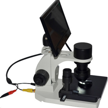 Electronic Microcirculation Detector Peripheral Vessel of Nail Wall Observer Digital Microscope with 7"/8"/9" LCD Displayer