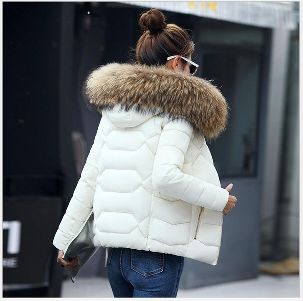 white black winter new women's clothes for women's short dress, the jacket of a long hair collar, the jacket of a coat