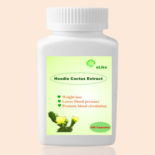 Nature Hoodia Cactus Extract 100pieces/bottle  burn fat appetite control Pure Hoodia gordonii extracts  weight loss