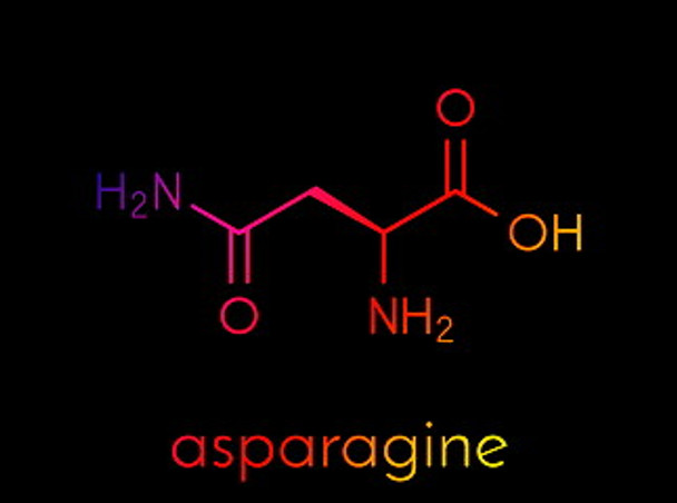 Asparagin 1 Year Supply!