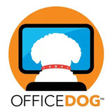 Office Dog