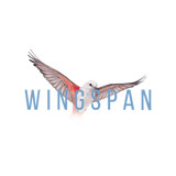 Wingspan