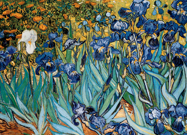 EuroGraphics - Vincent Van Gogh: Flores de iris - 1000 piezas