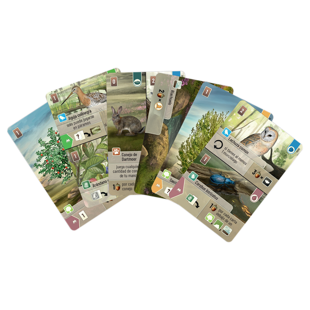 Lookout Games - Forest Shuffle Dartmoor