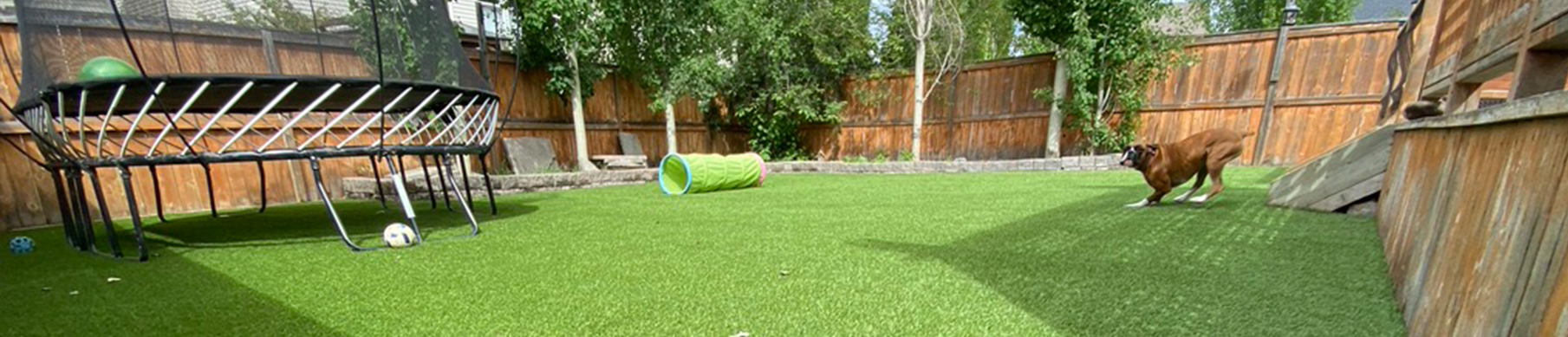 Synthetic Turf is Safe for Pets