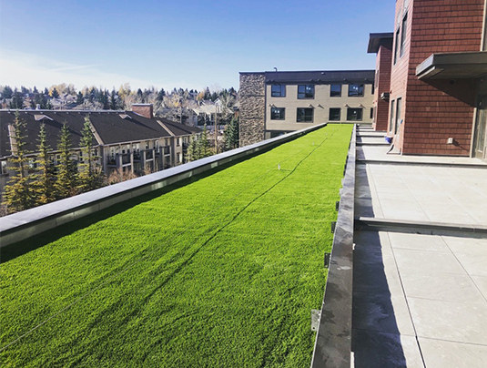 Synthetic Turf Co - Artificial Grass Installation for Architects