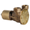 Jabsco Flexible Impeller Bronze Pump - 40 - 3/4" NPT