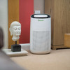 MeacoClean CA-HEPA 76x5 Air Purifier with Wi-Fi - home