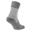 Sealskinz Waterproof All Weather "Bircham" Ankle Length Sock - Grey, back