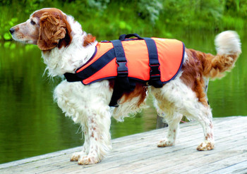 Baltic orange Pluto dog lifejacket