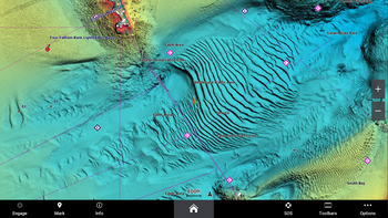 Garmin Navionics Vision+ Relief Shading