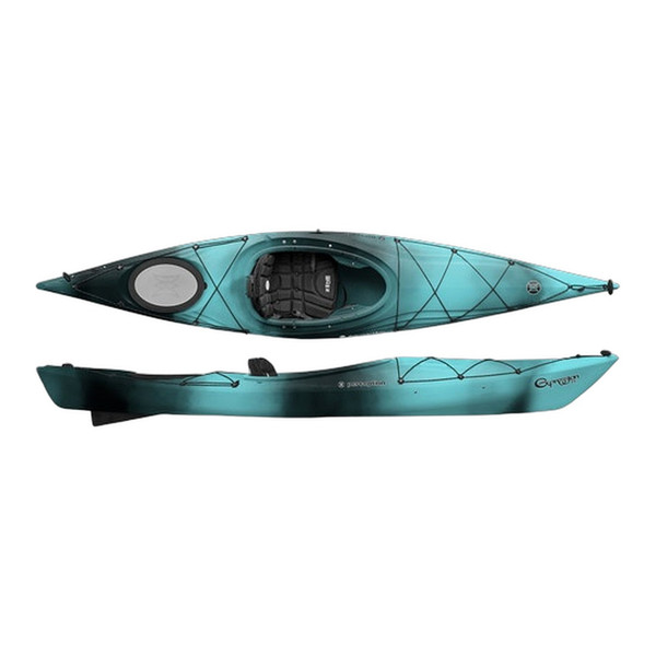 Perception Expression 11 DLX