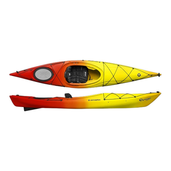 Perception Expression 11 DLX