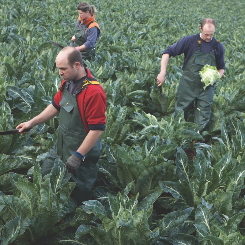 Agriculture, farm waterproof clothing