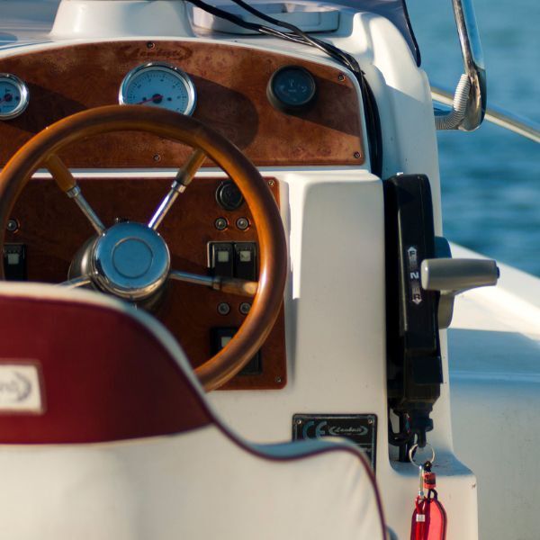 Boat steering and engine controls