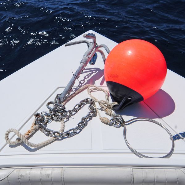 Yacht chandlery: anchors, fenders, ladders