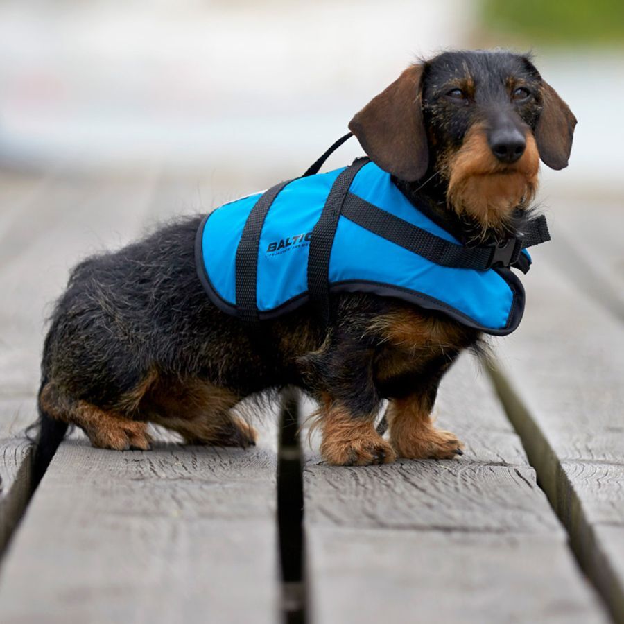 Pet buoyancy aids