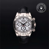 Oyster Perpetual Cosmograph Daytona [TPWAT0755]