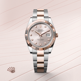 Datejust 41 [M126331-0007]