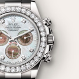 Cosmograph Daytona [M126589RBR-0001]