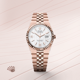 Land-Dweller 36 [M127235-0001]
