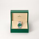 Oyster Perpetual 41 [M134300-0004]