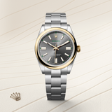 Oyster Perpetual 41 [M134303-0001]
