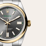 Oyster Perpetual 41 [M134303-0001]