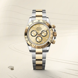 Cosmograph Daytona [M126503-0004]
