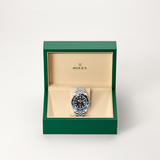 GMT-Master II [M126710BLNR-0002]