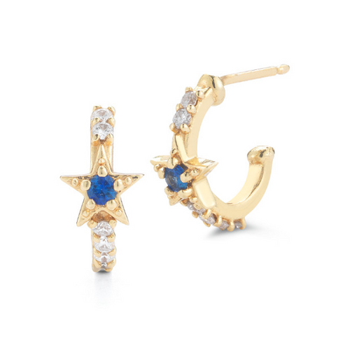 Sapphire and Diamond Earrings [1ESDX0801]