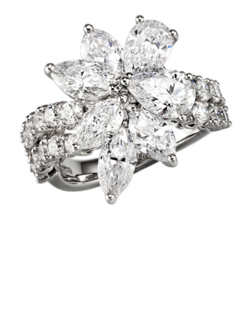 Diamond Fashion Ring in Platinum [1FADX3116]