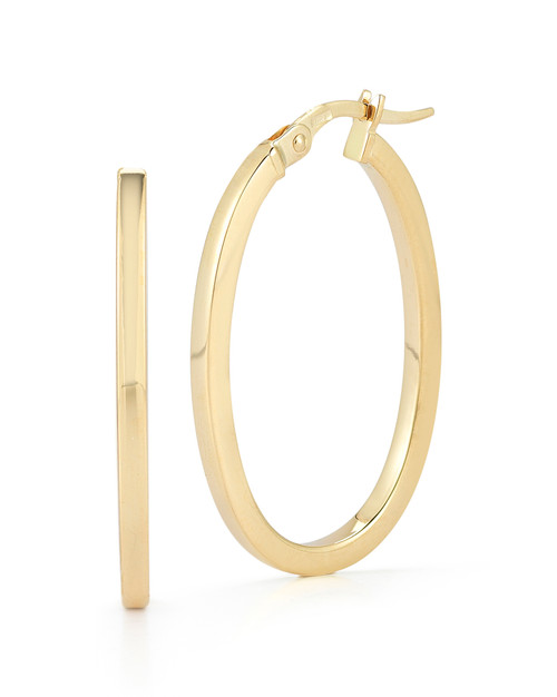 Designer Gold Hoop Earrings [2EGHP0022]