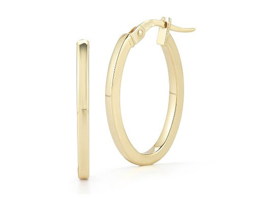 Designer Gold Hoop Earrings [2EGHP0043]
