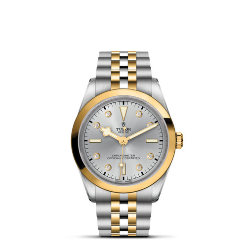 TUDOR Black Bay 36 S&G [TPWAT0624]