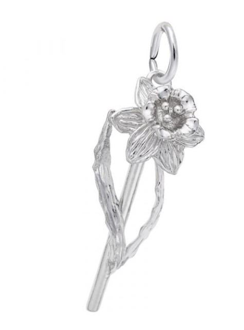 Daffodil Charm [2YSMX2353]