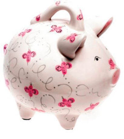 Pink Beez Piggy Bank [6BABY1370]