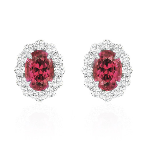 Ruby and Diamond Stud  Earrings [JESTD0638]