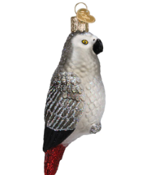 AFRICAN GREY PARROT [GGORN0149]