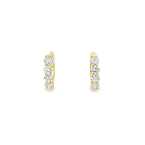 Diamond Hoop Earrings [JEHOP1079]